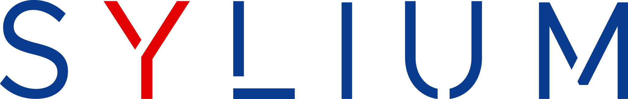 Sylium Ltd – Solution Delivery – AI, Saas, Software Development, Consultancy